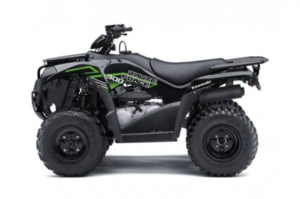 Kawasaki Brute Force 300