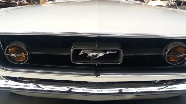 Ford mustang logo